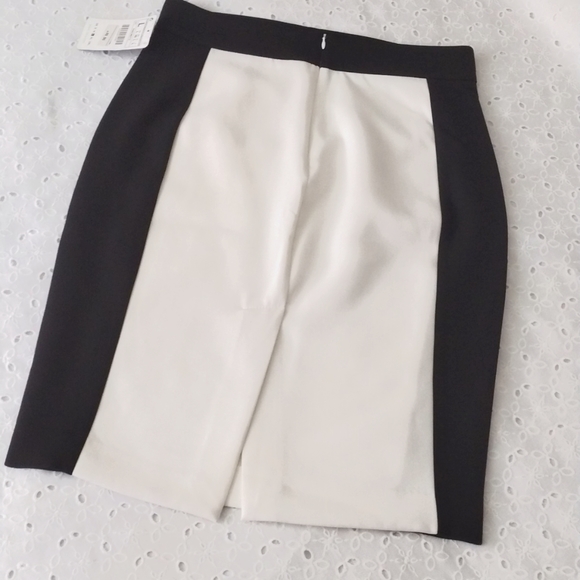 Zara Basic Skirt Black White Color Block - Picture 2 of 6